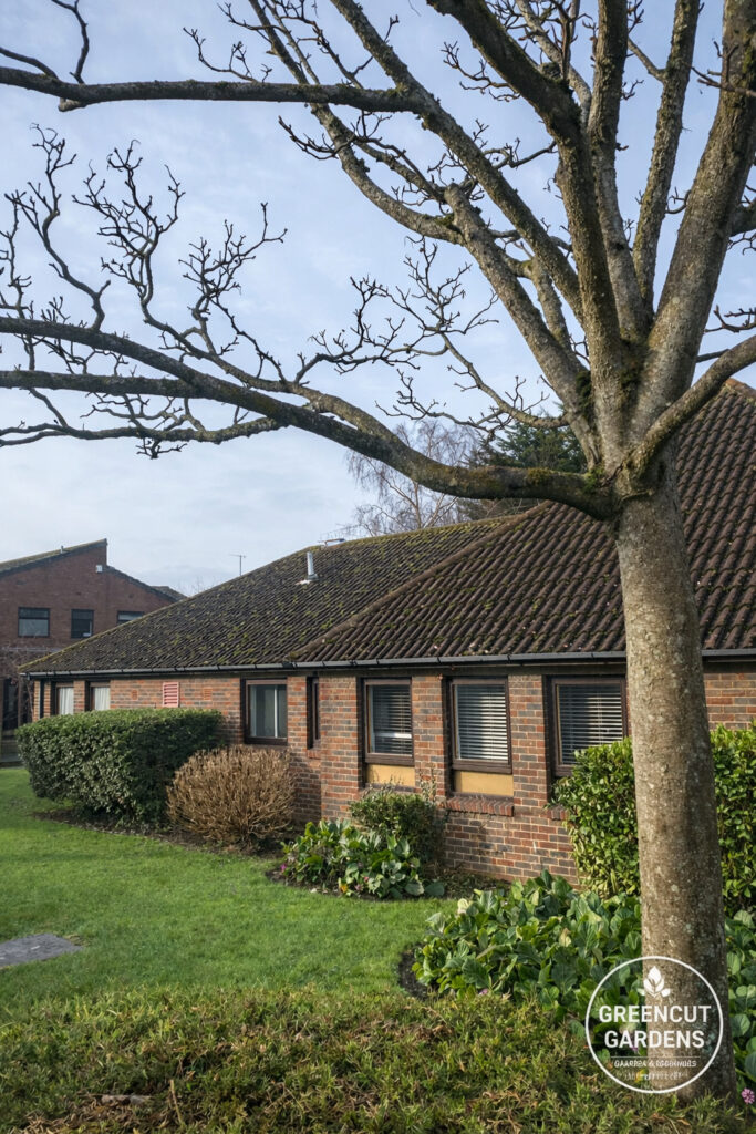 care home gardening in chichester