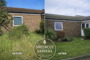 Garden clearance in Chichester by GREENCUT Gardens