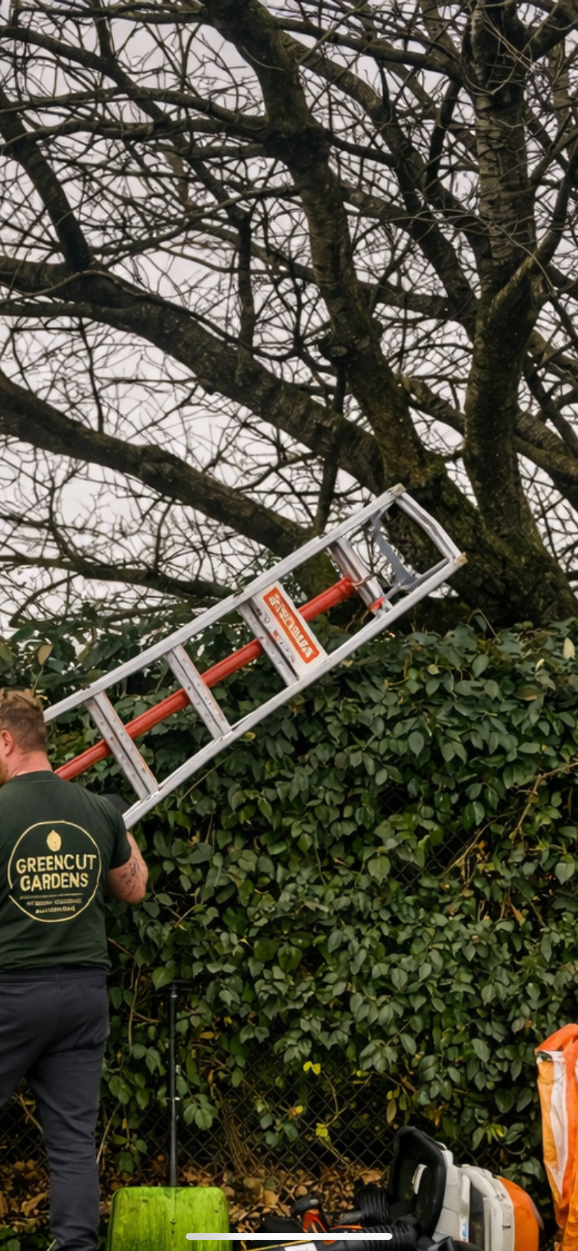 Hedge-Cutting-In-Chichester