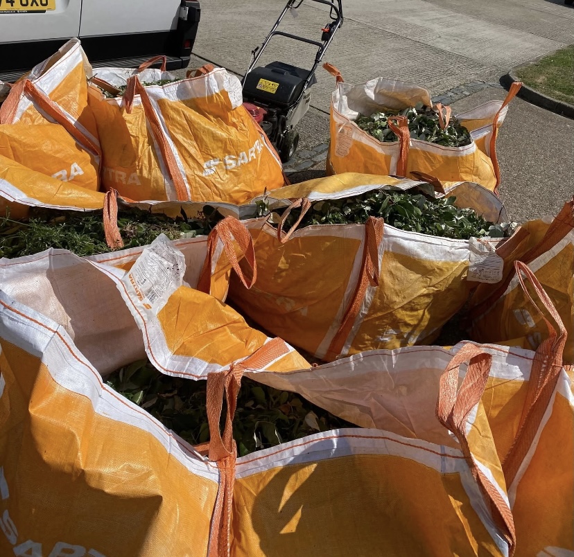 green waste removal company in chichester