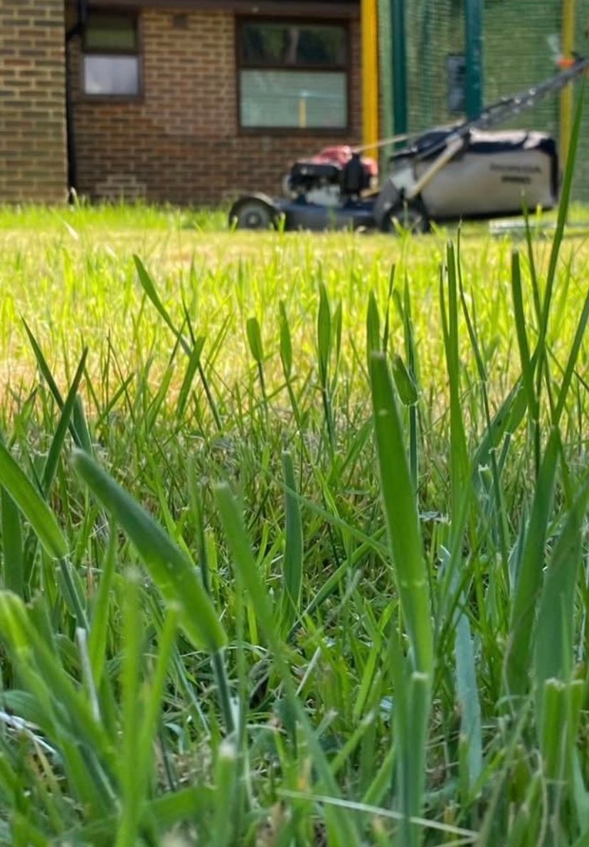 grass cutting chichester