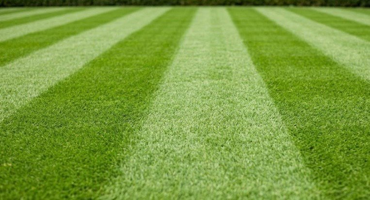 lawn treatment in chichester